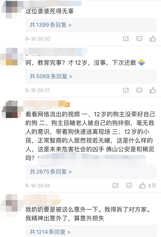 引發轟動！老人被寵物狗狂奔絆倒不治身亡，無良狗主人冷漠表現令人髮指！ 寵物 第2張