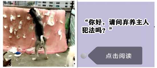 三只柯基爆笑取暖引网友调侃:赶紧翻面儿吧,都烤糊了,哈哈哈哈-微信头条网 三只柯基爆笑取暖引网友调侃:赶紧翻面儿吧,都烤糊了,哈哈哈哈