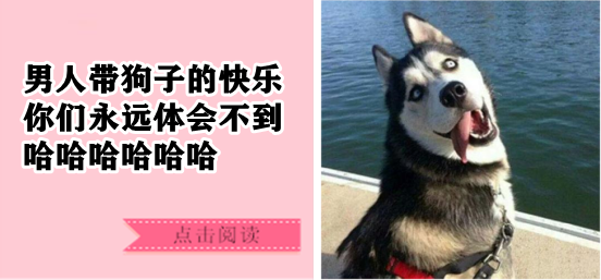 三只柯基爆笑取暖引网友调侃:赶紧翻面儿吧,都烤糊了,哈哈哈哈-微信头条网 三只柯基爆笑取暖引网友调侃:赶紧翻面儿吧,都烤糊了,哈哈哈哈