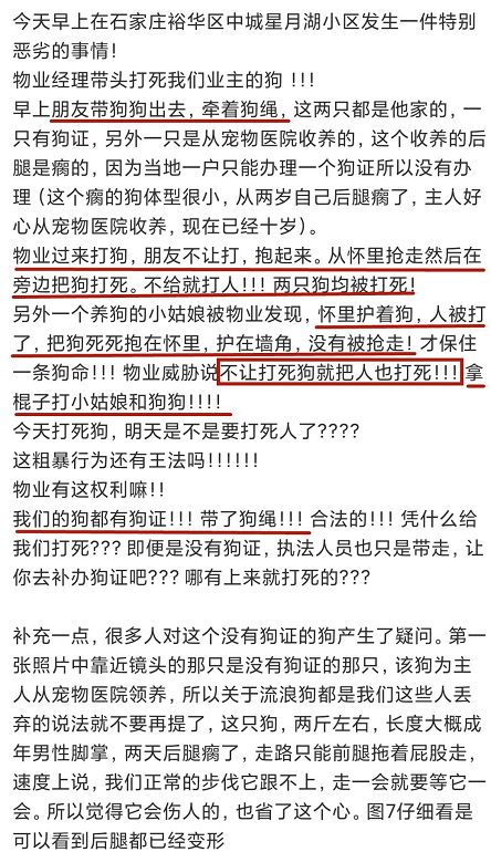 「物業當著我的面打死了我的狗，還說是為我好」 寵物 第4張