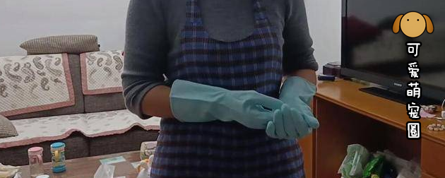 轰动！上海杀妻焚尸案爱犬为救主冲入火海，再也没能回来，网友：禽兽不如！