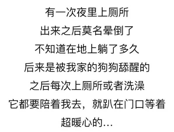 養一只很愛你的狗狗是種怎樣的體驗？ 未分類 第11張