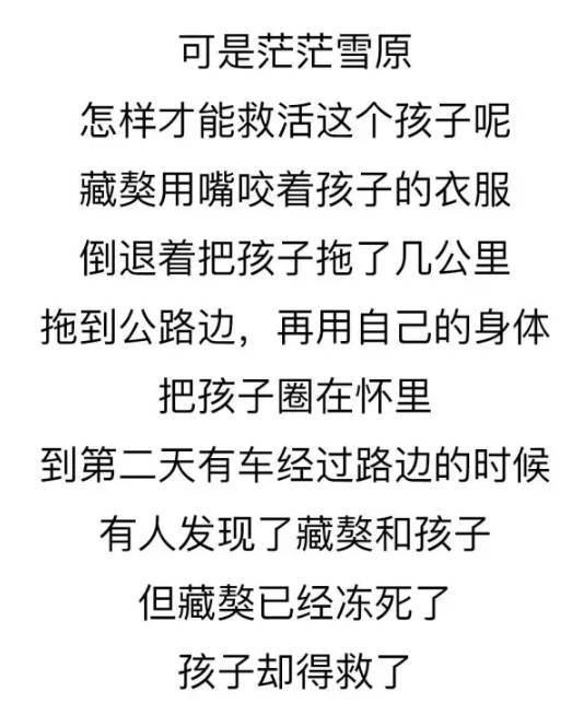 養一只很愛你的狗狗是種怎樣的體驗？ 寵物 第25張