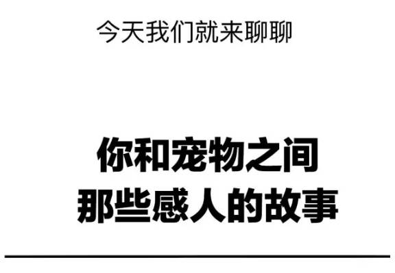 養一只很愛你的狗狗是種怎樣的體驗？ 寵物 第3張