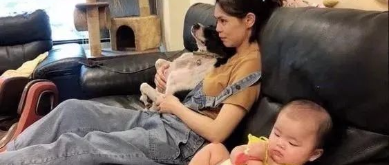 “女儿和狗狗合不来，所以我打算把它送走！”