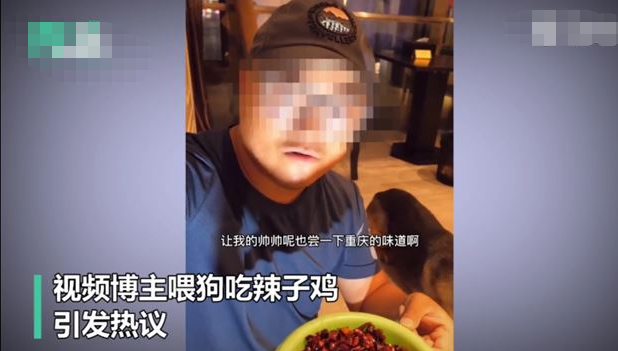 寵物狗被博主強迫當大胃王，網友暴怒！博主：我不覺得有什麼，它吃的很香！ 寵物 第9張