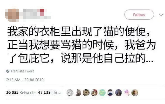 為了貓，爸媽究竟做到什麼程度，網友：我爸說衣櫃裡面的屎是他拉的.... 寵物 第3張