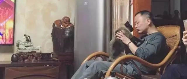 为了猫，爸妈究竟做到什么程度，网友：我爸说衣柜里面的屎是他拉的....