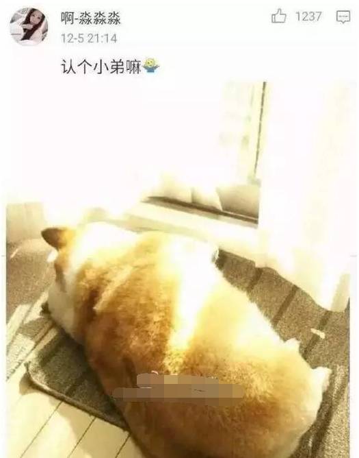 他把狗狗送給奶奶養之後... 未分類 第23張