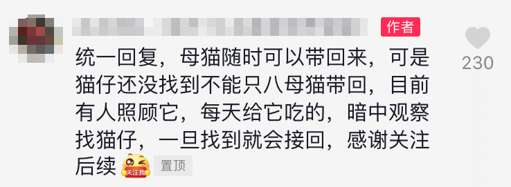 猫妈妈叼着半袋猫粮死活不松口,一个举动看哭数万网友.....-微信头条网 猫妈妈叼着半袋猫粮死活不松口,一个举动看哭数万网友.....