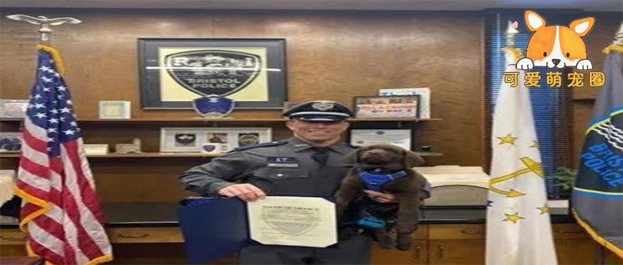 公务汪因“太懒”被警局开除，警员集体为它举办“欢送会”……