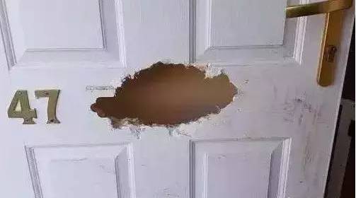 歪，幺幺零嗎？我家門成精了，長出狗頭了.... 寵物 第17張