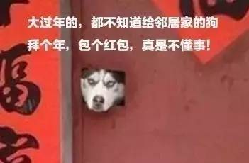 歪，幺幺零嗎？我家門成精了，長出狗頭了.... 寵物 第7張