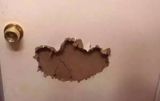 歪，幺幺零嗎？我家門成精了，長出狗頭了.... 寵物 第18張