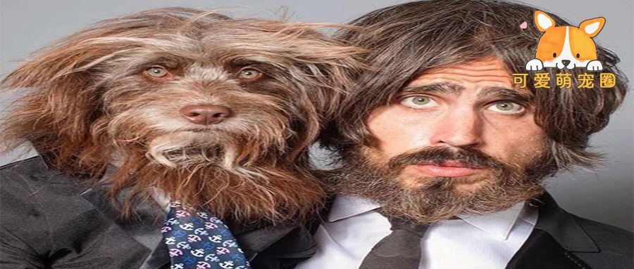 狗狗越长越像主人?开始我不信，但直到看完这组图..哈哈哈!