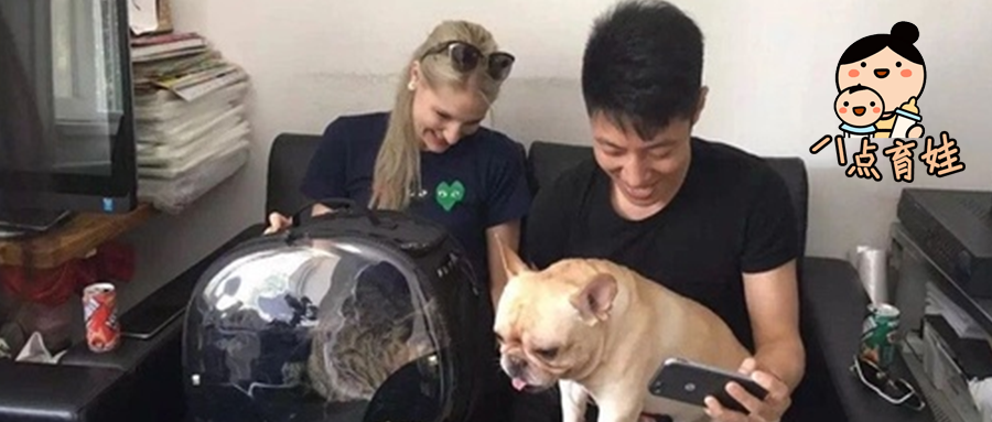 千万不要做撒贝宁家的猫！这个人简直了！！！