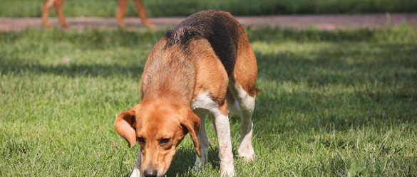 “不是我不想接受你，是我真的怕了........”