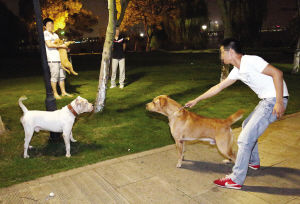 “用无人机遛狗？被指责后竟说：我就是有钱怎么了？”