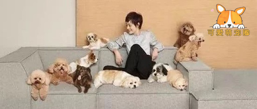 邓超被狗挤兑后感慨：人生不如狗生，还好我有自知之明！