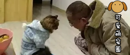 “你要是敢养猫，我就把你腿打断”