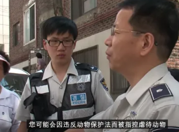 “我每个月花几万养的狗，我要弄死它它就必须死！”