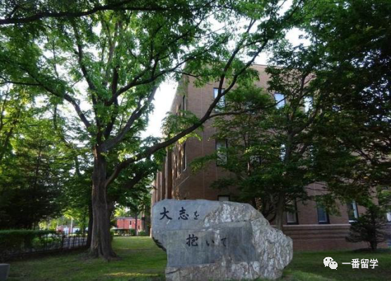 一番带你看名校 第八期 北海道大学 北海新闻