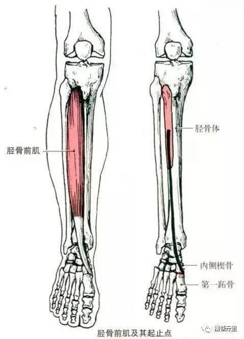 鄭爽的膝蓋、娜紮的腿…太慘了！ 娛樂 第30張