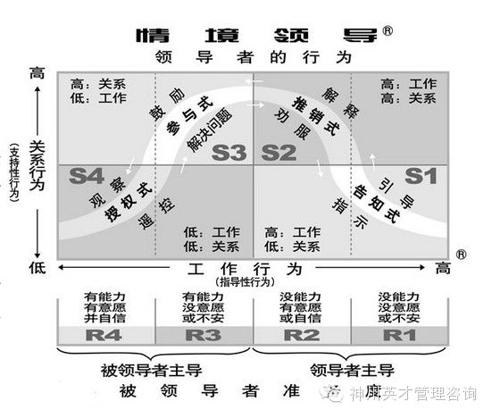 卓越组织领导力系统
