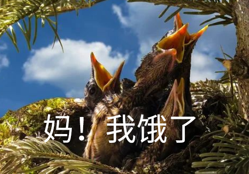 PMP證書能退稅嗎 PMP證書能退稅嗎