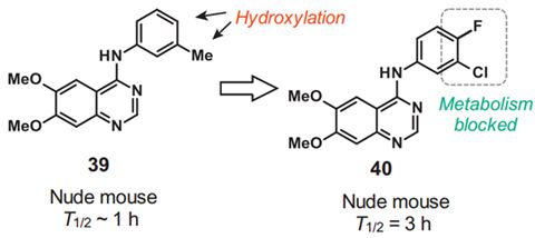 独特的氟效应：有机氟化合物的宏观物理性质、电子效应及反应性 第4张
