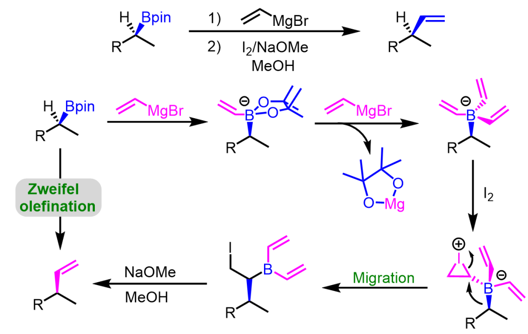 有机硼试剂常见的转化及机理 第5张