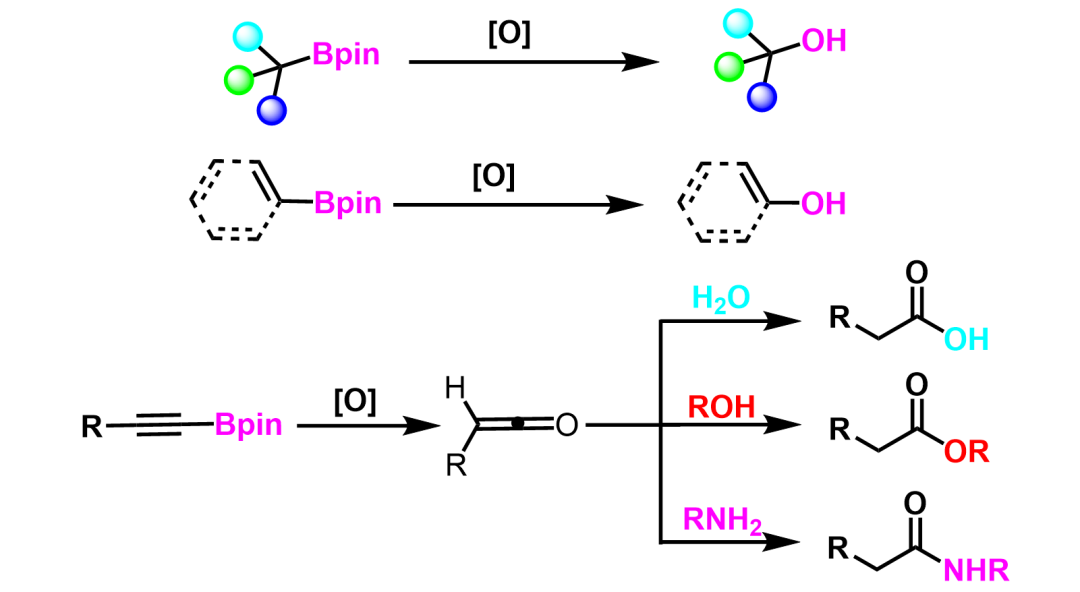 有机硼试剂常见的转化及机理 第2张