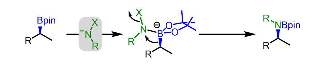 有机硼试剂常见的转化及机理 第3张