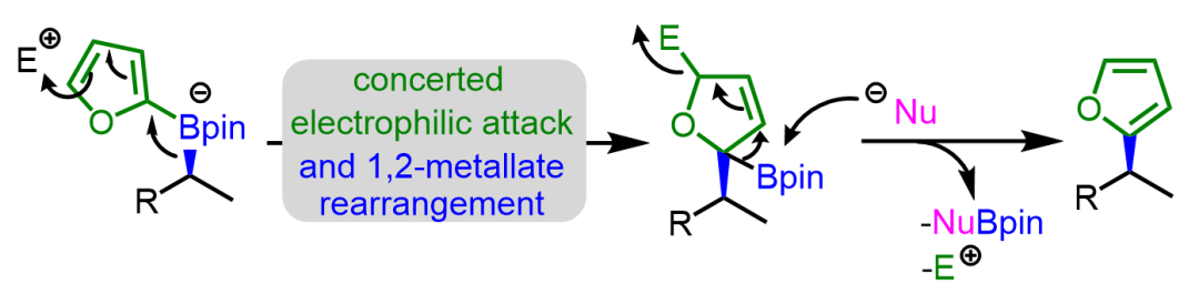 有机硼试剂常见的转化及机理 第8张