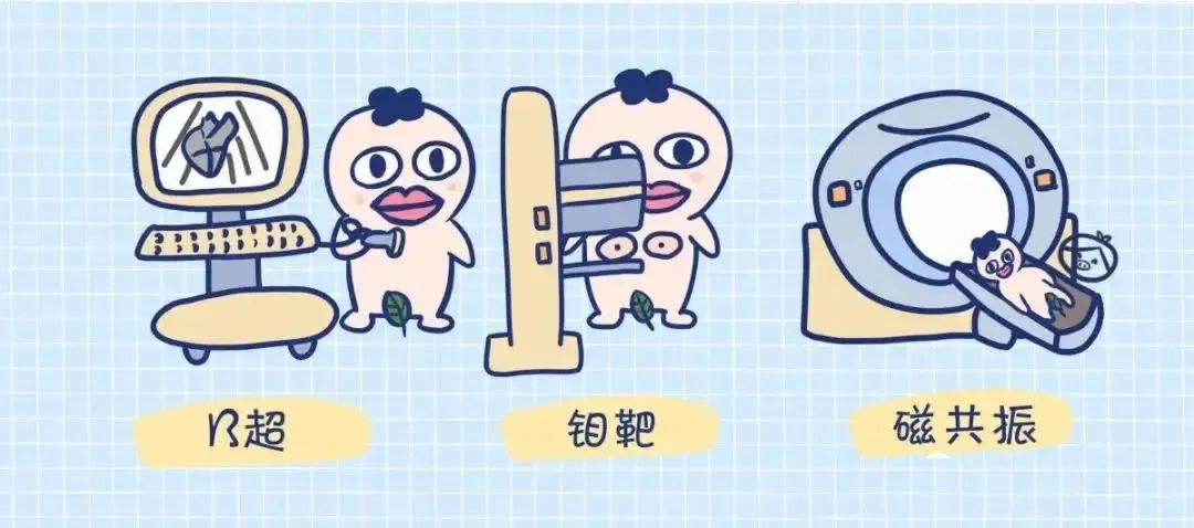 乳腺触诊成像怎么检查妇幼科普 ｜ 乳腺检查，我该怎么选？_https://www.jmylbn.com_新闻资讯_第3张