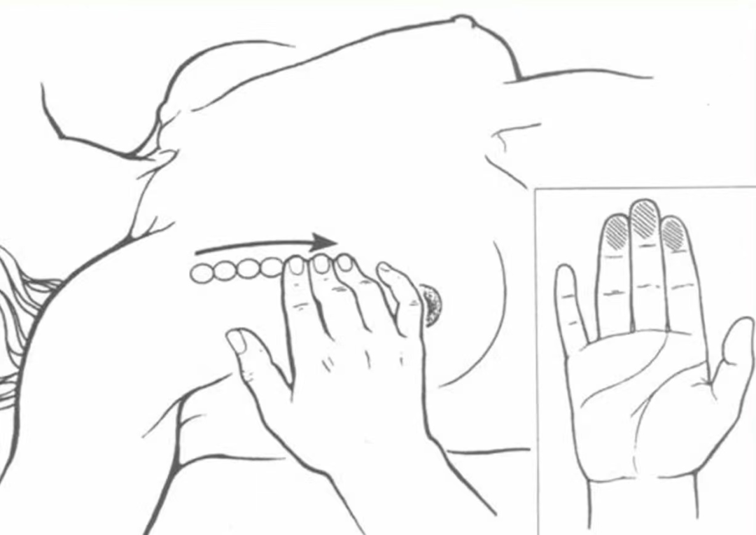 乳腺触诊成像怎么检查妇幼科普 ｜ 乳腺检查，我该怎么选？_https://www.jmylbn.com_新闻资讯_第4张