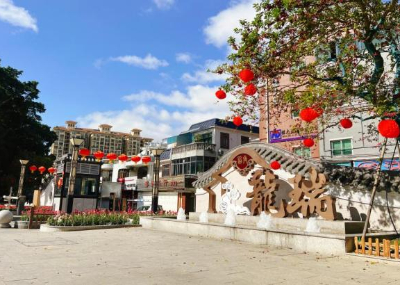 文脉传承协商议事龙瑞村的共建共治之路