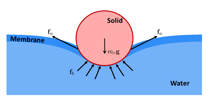 水表面张力系数实验_水的表面张力系数是多少_表面对流换热系数