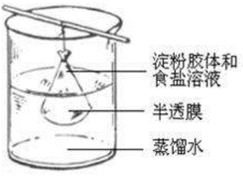 二轮||“物质分离提纯”的12种方法精析，请收藏！的图67