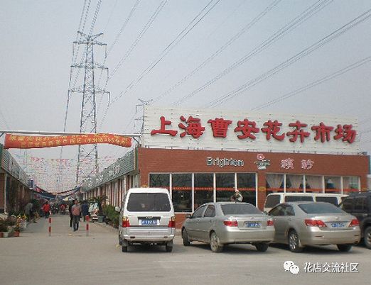 花卉批发市场进货渠道_花卉批发市场从哪拿货_花卉批发进货渠道市场分析