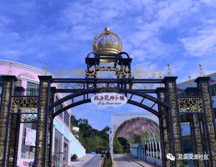 花卉批发进货渠道市场分析_花卉批发市场进货渠道_花卉批发市场从哪拿货