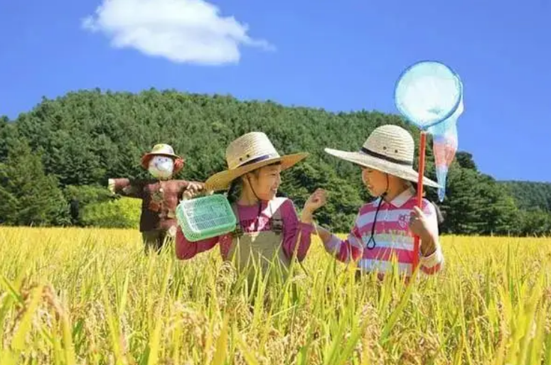 致富经甲鱼_致富经养甲鱼视频播放_致富甲鱼养殖技术