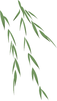 曲谱分享 赤伶 D调古筝简谱 陆小曦的糖果屋 微信公众号文章阅读 Wemp