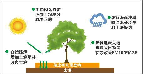 【治扬尘，用落尘】解读落尘有机覆盖物，实用