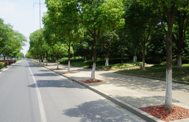 昆山合纵生态年终董事会议