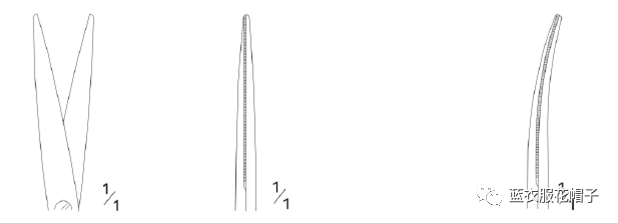 卵圆钳怎么持胸外科手术器械大汇总_https://www.jmylbn.com_新闻资讯_第6张