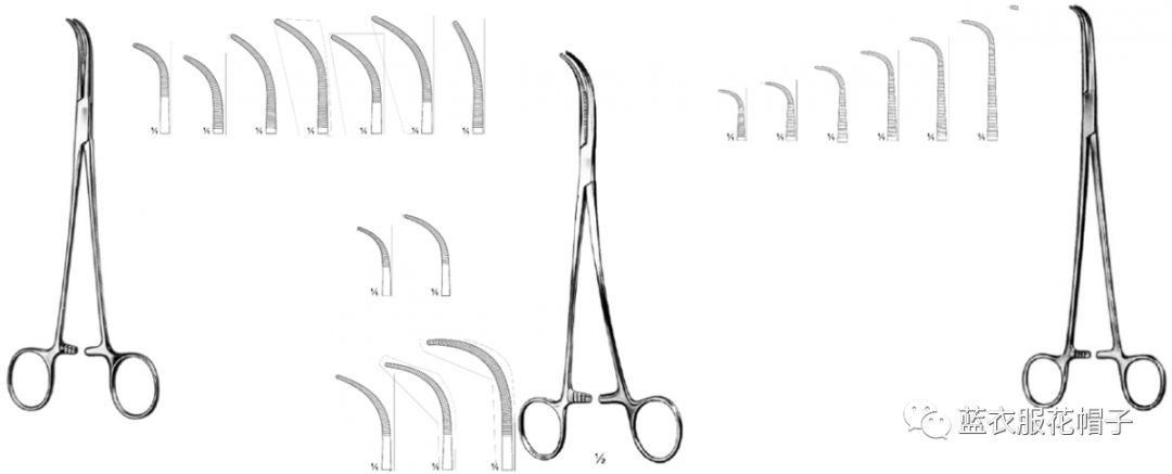 卵圆钳怎么持胸外科手术器械大汇总_https://www.jmylbn.com_新闻资讯_第14张