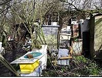 转圈圈欢呼, 长凳上辣眼睛的金属栏杆终于被拆啦