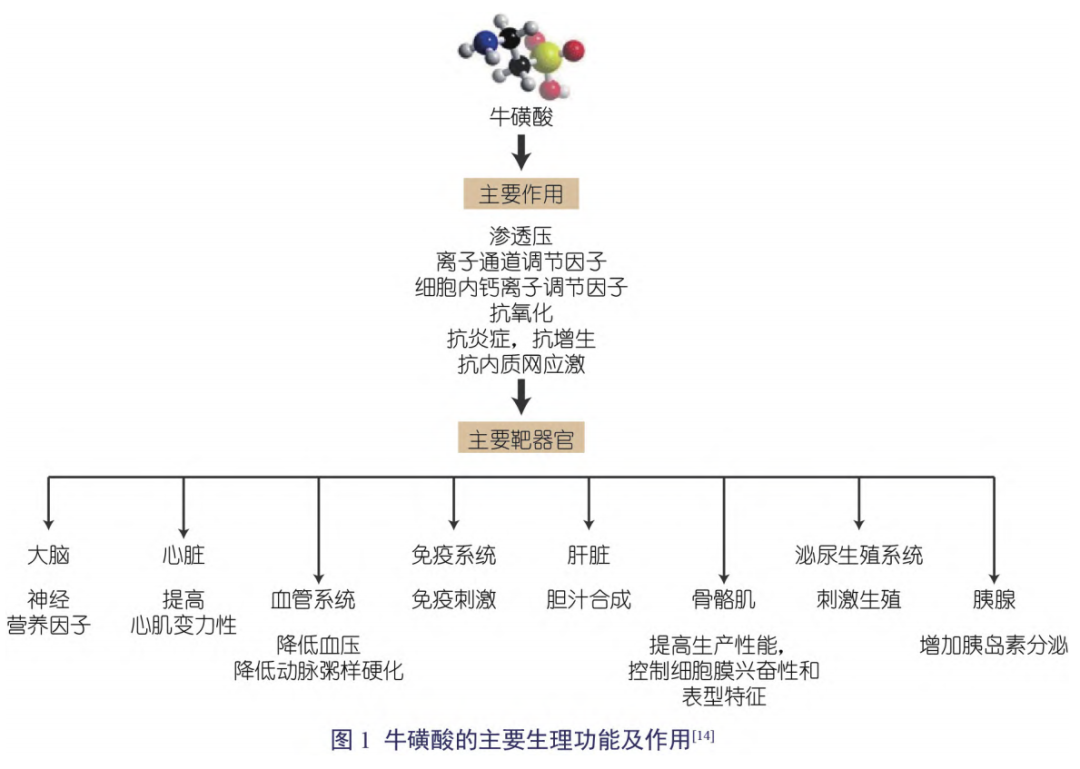 上外男生投下的「春药」，你平常喝的饮料里也有……