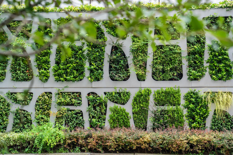 这些马路上的立体绿化你发现了吗?